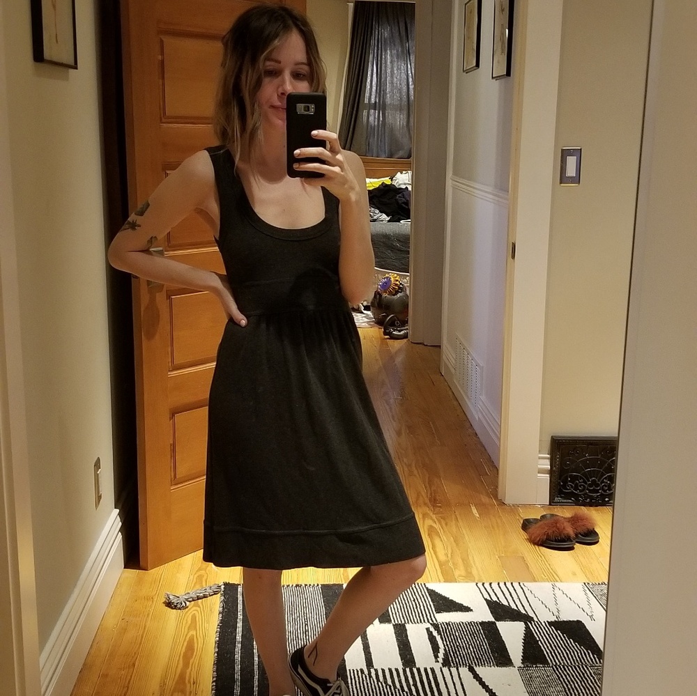 Velvet anthropologie P Gray dress